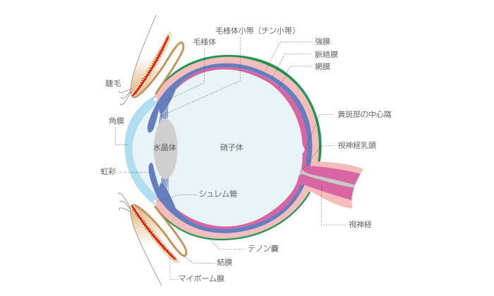 受付